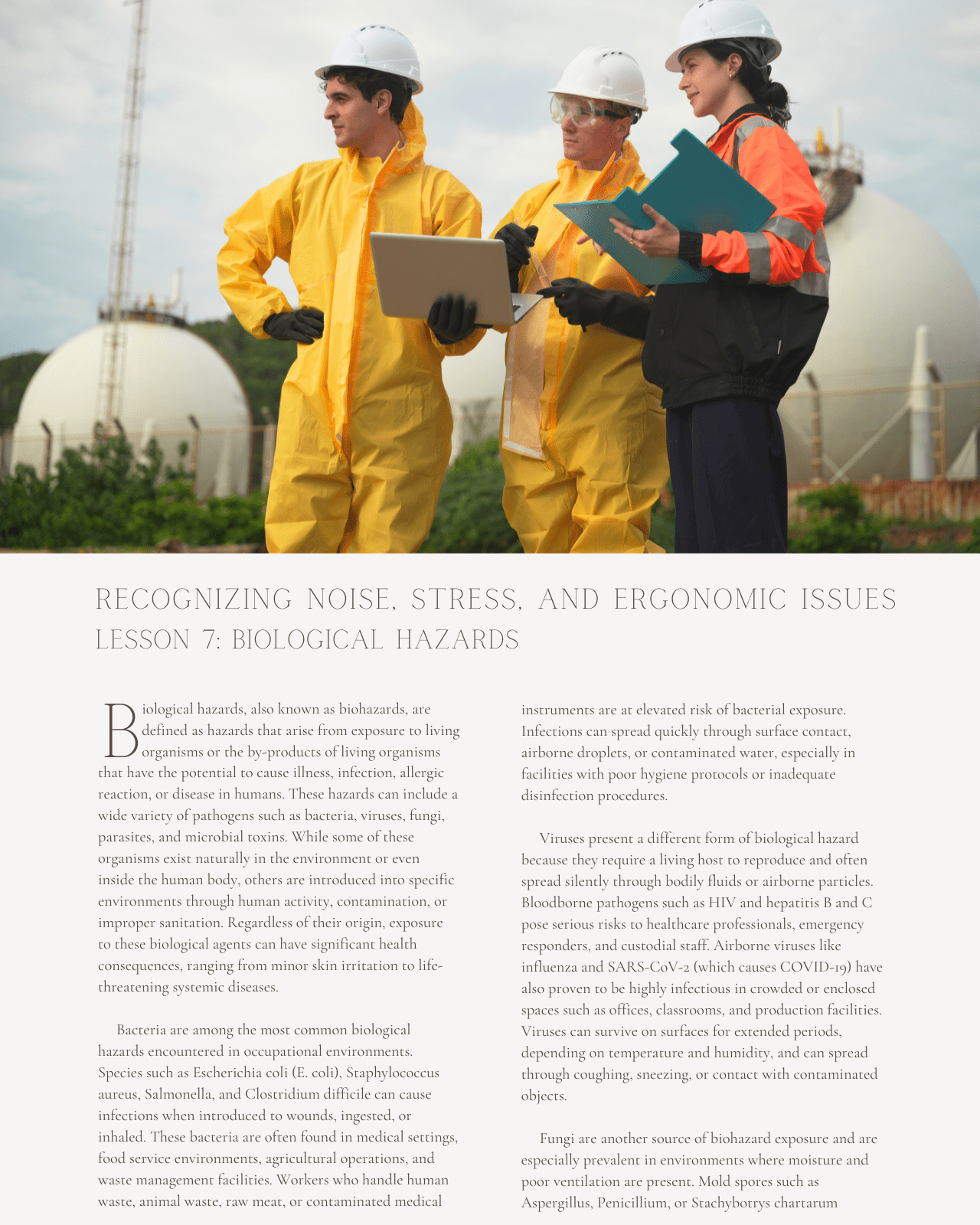 Occupational Health Hazards & Basic Industrial Hygiene: Recognizing Noise, Stress, and Ergonomic Issues - Safety Professionals Continuing Education, 25 Hours AllSafetyCE Points