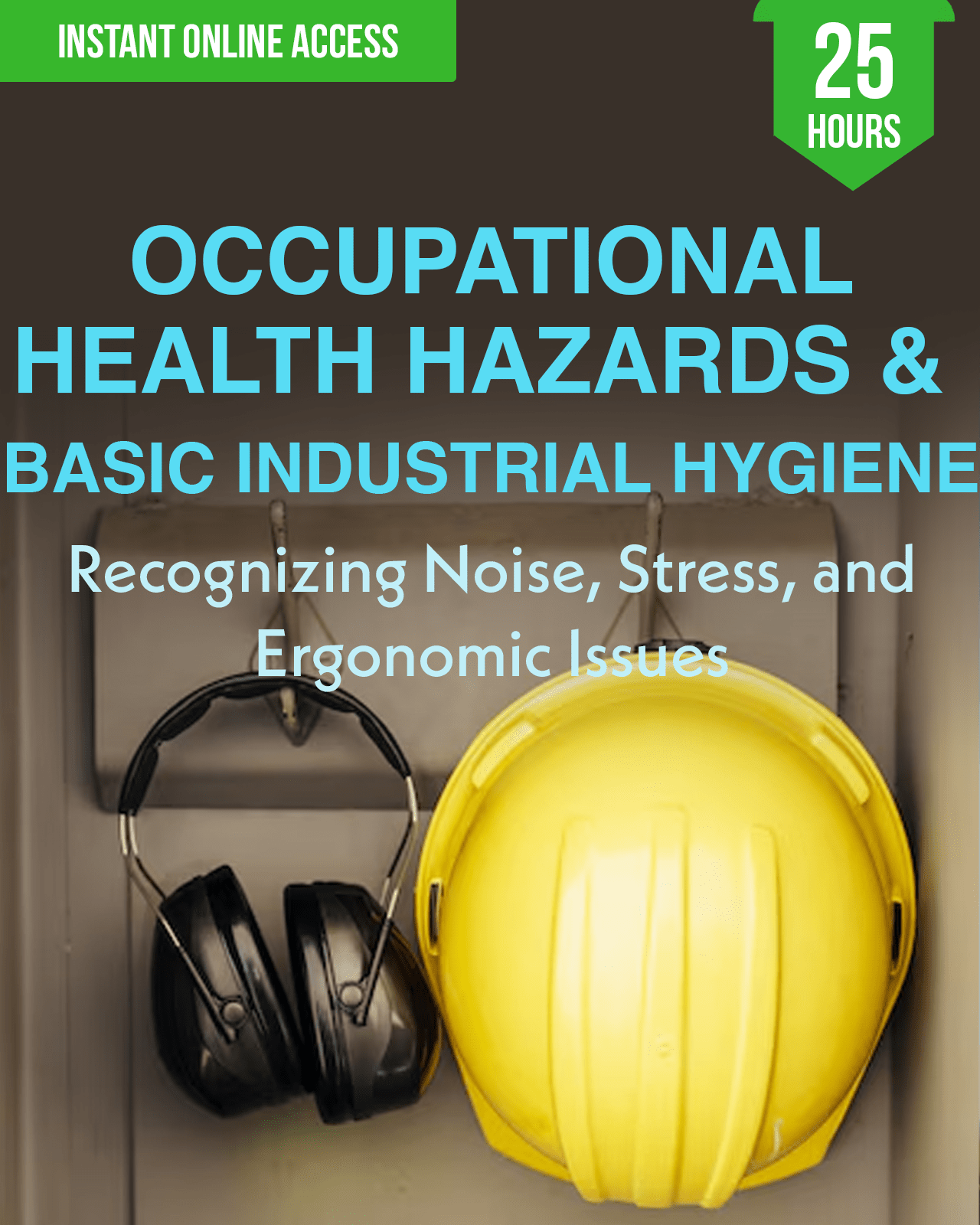Occupational Health Hazards & Basic Industrial Hygiene: Recognizing Noise, Stress, and Ergonomic Issues - Safety Professionals Continuing Education, 25 Hours AllSafetyCE Points